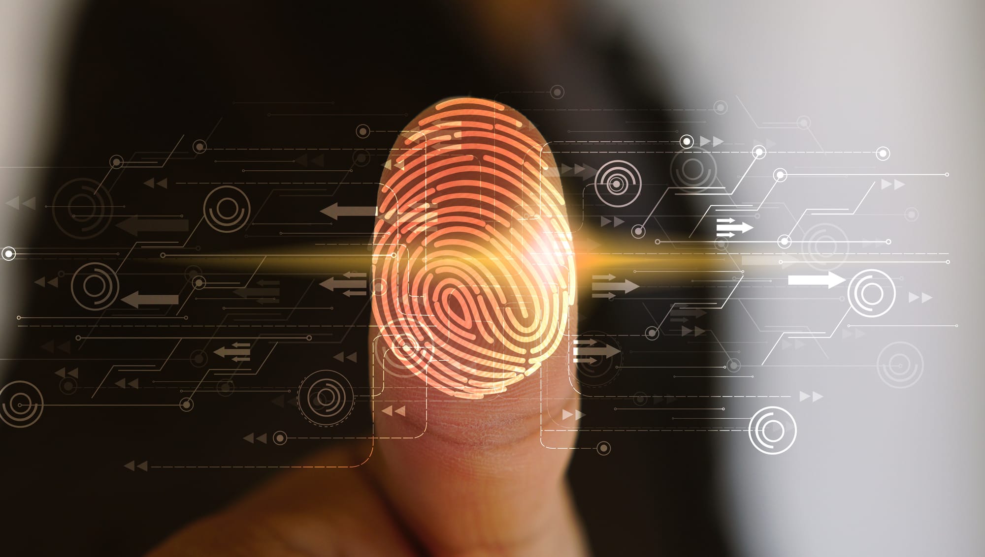 Technology as a Strategy- Lessons from the Defense Industry