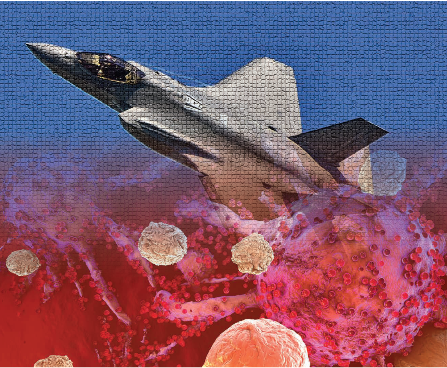 NEW TECHNOLOGY IN THE BATTLEFIELD